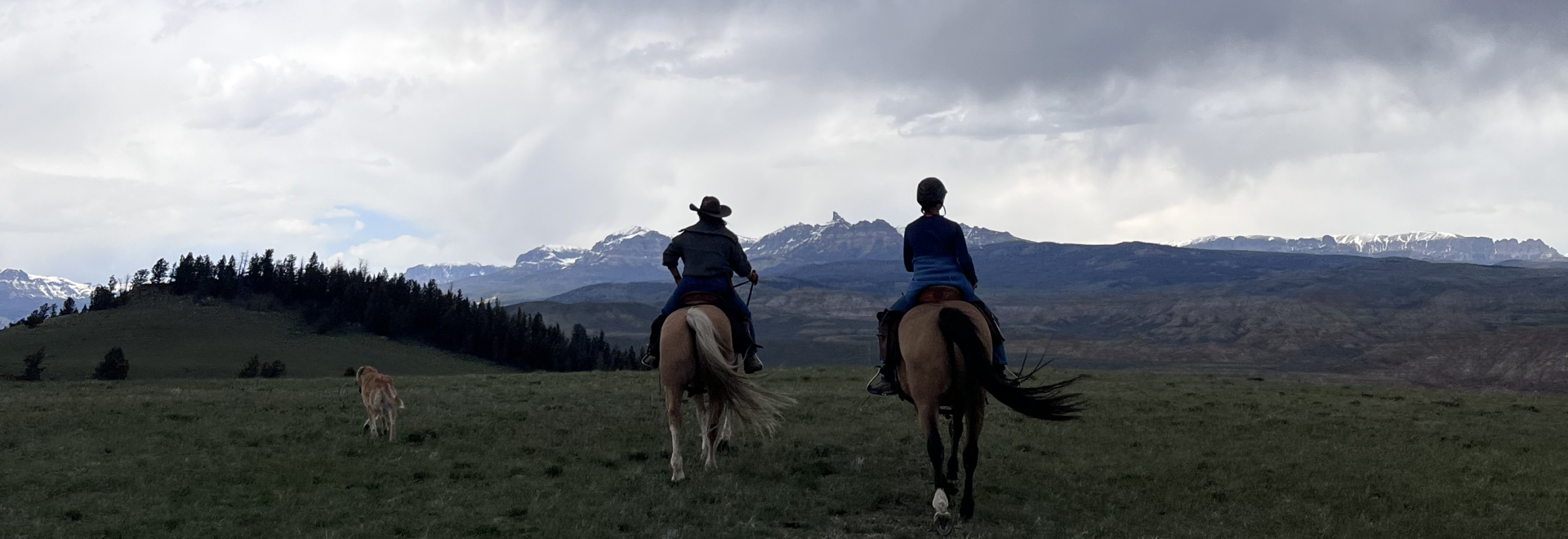 Two horseback riders heading toward snow-capped Absaroka peaks under dramatic storm clouds on an open Wyoming hillside, with two dogs trotting alongside