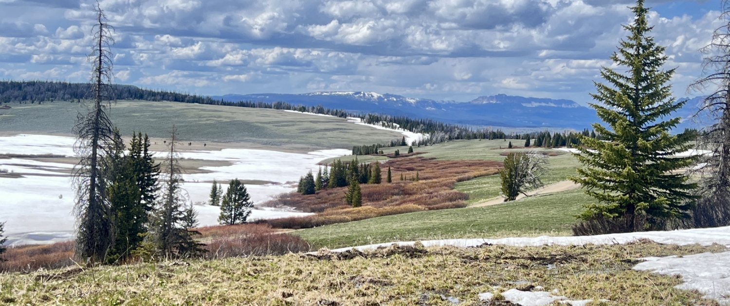 Panoramic view of a Wyoming mountain valley with snow patches, evergreen trees, and distant snow-capped peaks