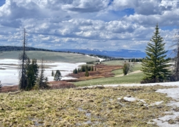 Panoramic view of a Wyoming mountain valley with snow patches, evergreen trees, and distant snow-capped peaks